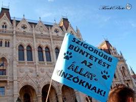 állatkínzás, tüntetés, budapest